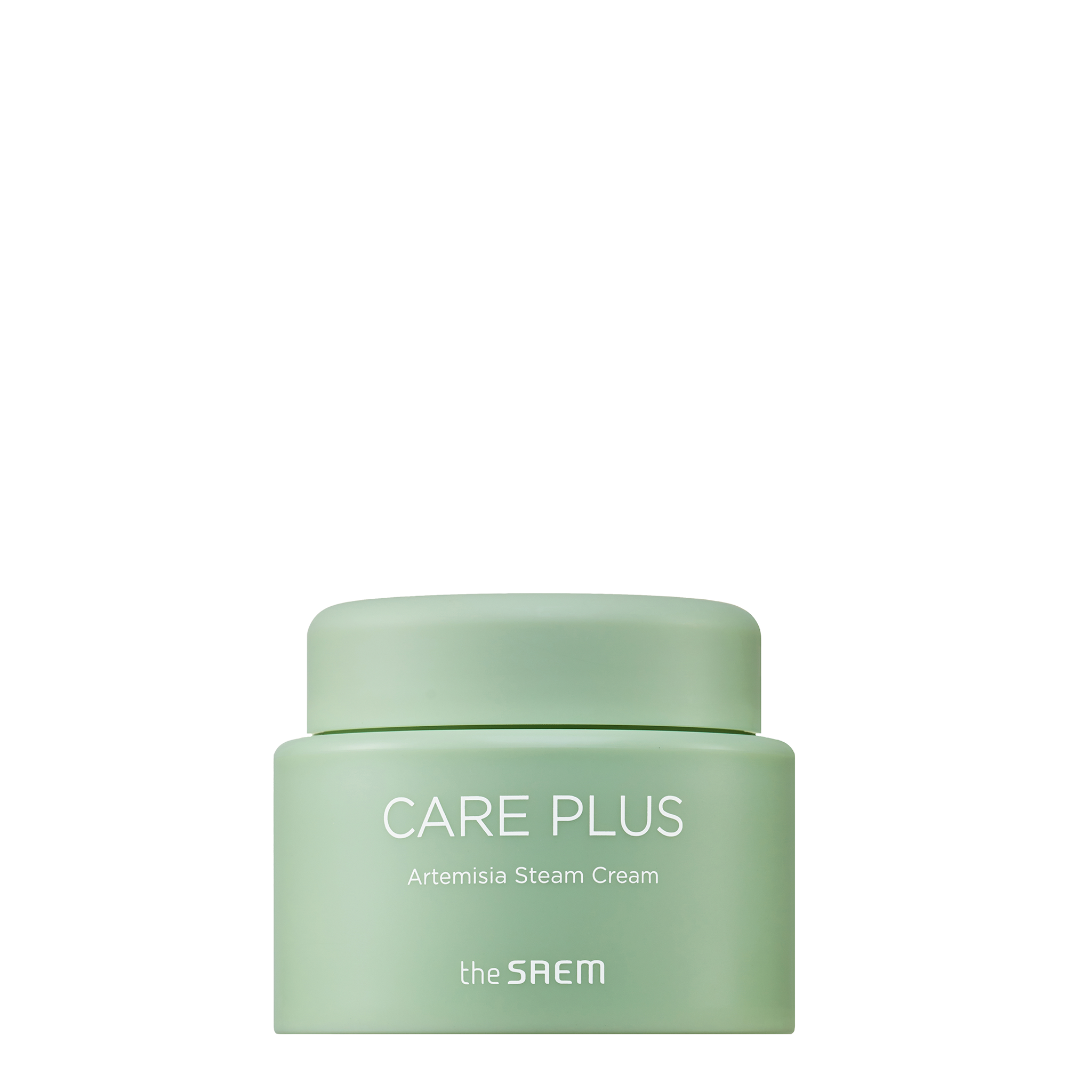 Creme THE SAEM Care Plus Artemisia Steam 100ml