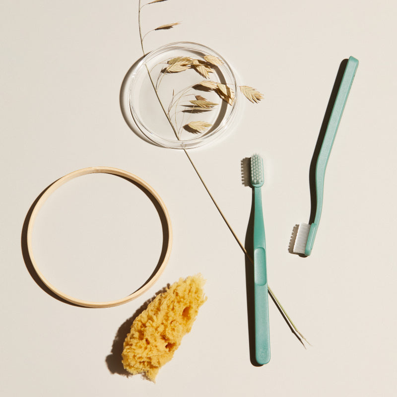 Escova de Dentes Jordan Green Clean Adulto, Médio